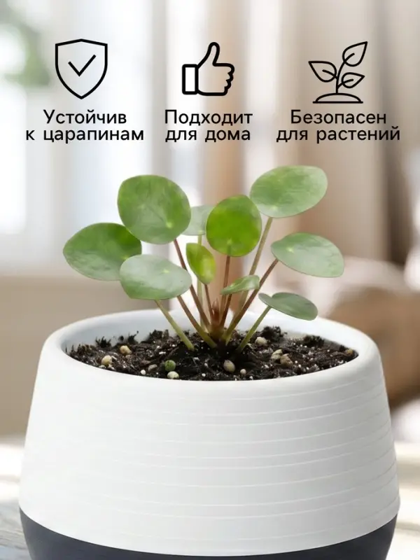 Горшок цветочный &laquo;Япония&raquo;, 450 мл, d=12 см, h=10 см, пластиковый, с поддоном, бело-графитовый