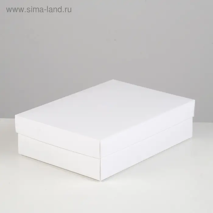 Коробка картонная без окна, белый, 21 х 15 х 5 см Коробка картонная без окна, белый, 21 х 15 х 5 см