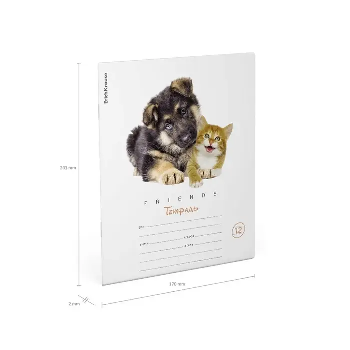 Тетрадь 12 листов в линейку, ErichKrause &laquo;Дружба&raquo;, обложка мелованный картон, блок офсет 100% белизна, МИКС (1 вид в спайке)