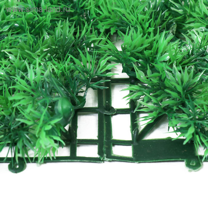 Декоративная панель, 60 × 40 см, «Аспарагус», Greengo Декоративная панель, 60 × 40 см, «Аспарагус», Greengo