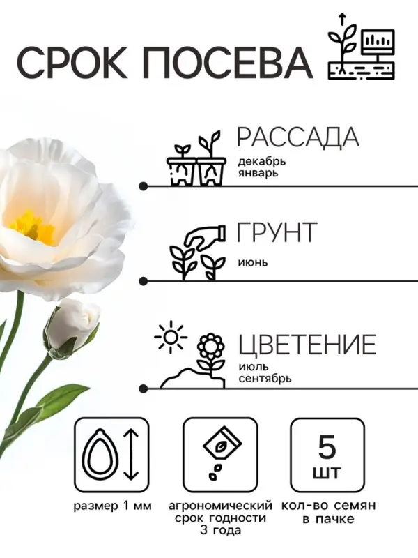 Семена цветов Эустома &laquo;Сапфир&raquo;, F1, белая крупноцветковая, 5 шт., &laquo;Аэлита&raquo; селекция PanAmerican Seed