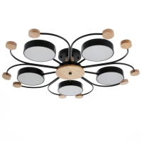 Люстра 1314/5BK LED 120Вт 3000-6000К черный 90х90х15 см BayerLux