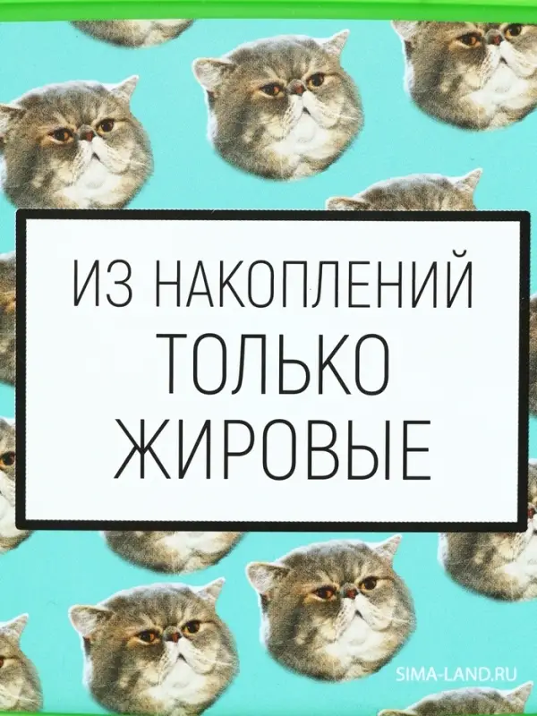 Ланч-бокс «Накопления», 500 мл Ланч-бокс «Накопления», 500 мл