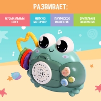 Музыкальная игрушка «Крошка Краб», звук, свет, цвета МИКС