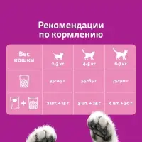 Сухой корм Wiskas для кошек, подушечки с нежным паштетом, говядина, 800 г