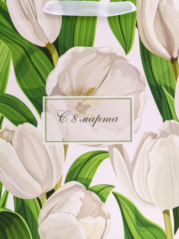 Пакет подарочный вертикальный «Белый вайб»,   ML 23 × 27 × 11.5 см