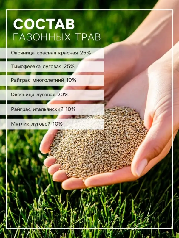 Газон универсальный &laquo;Зеленый квадрат&raquo;, 1 кг