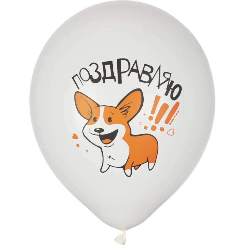 Набор шаров WHITE&ORANGE Корги СДР 5шт/уп в ассортимен M 12/30см 6073138