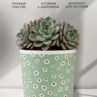 Кашпо для цветов &laquo;Ромашки&raquo;, 1.6 л, d=14 см, h=14 см, пластиковое