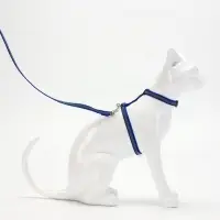 Комплект для кошек, шлейка 21-35 см, ширина 1 см, поводок 120 см, светоотражающий, синий