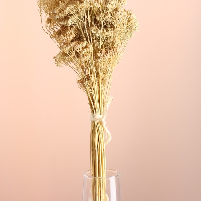 Набор сухоцветов Набор сухоцветов "Тысячелистник", банч длина 60 (+/- 6 см), выбеленный