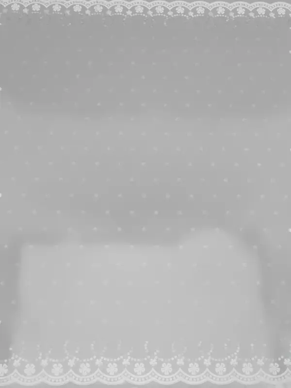 Пленка прозрачная с рисунком «Классикцветов» Белый 0.7×8.2±5%м