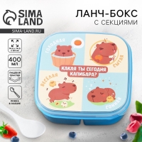 Ланч - бокс квадратный с секциями «Капибара», 14,5 х 6 см