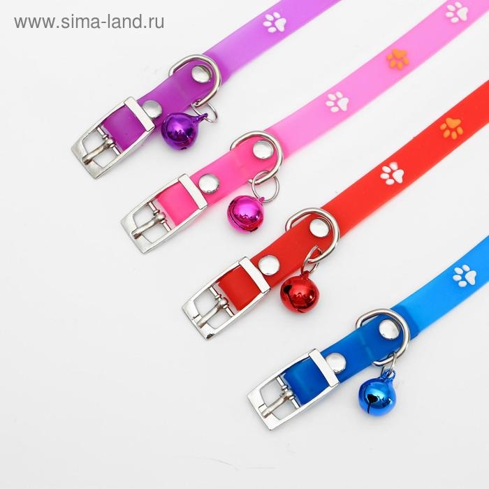 Ошейник из морозостойкого мягкого пластика Ошейник из морозостойкого мягкого пластика "Лапки", 28, 5 х 1 см, микс цветов