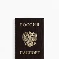 Обложка для паспорта, велюр, коричневая