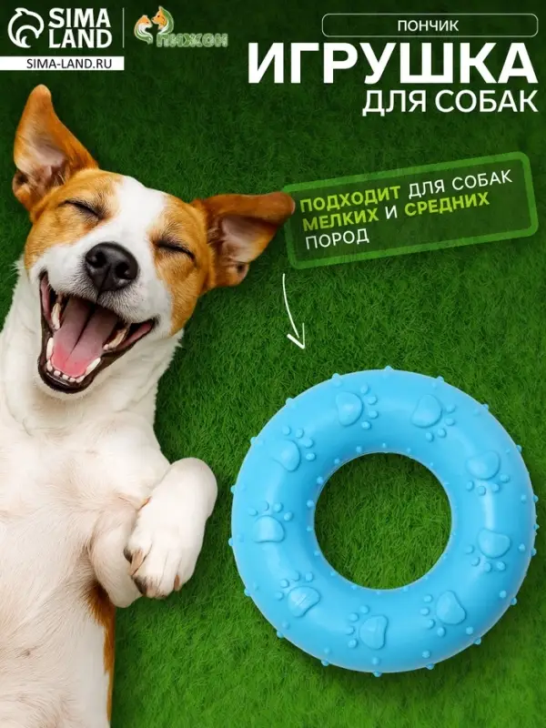 Жевательная игрушка для собак &laquo;Пончик&raquo;, 7 см, голубая