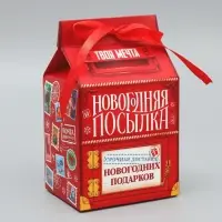 Упаковка для кондитерских изделий «С Новым годом!», почта, 8 х 10 х 16 см, Новый год