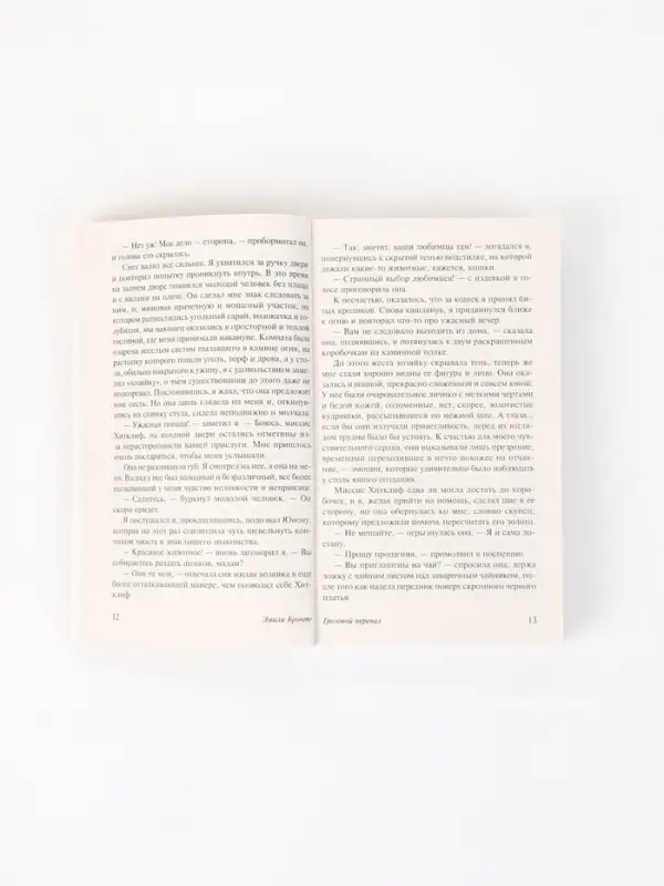Книга &laquo;Грозовой перевал&raquo;, Эмили Бронте