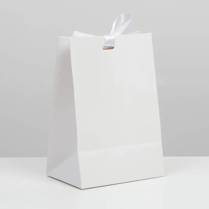 Пакет подарочный с лентой, упаковка, «Белый», 13 х 19 х 9 см