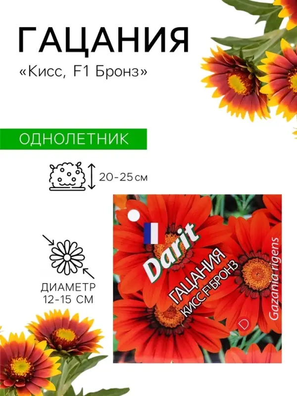 Семена цветов Гацания &laquo;Кисс F1 Бронз&raquo;, для балкона, веранды, цветника, однолетник, низкорослая7 шт.