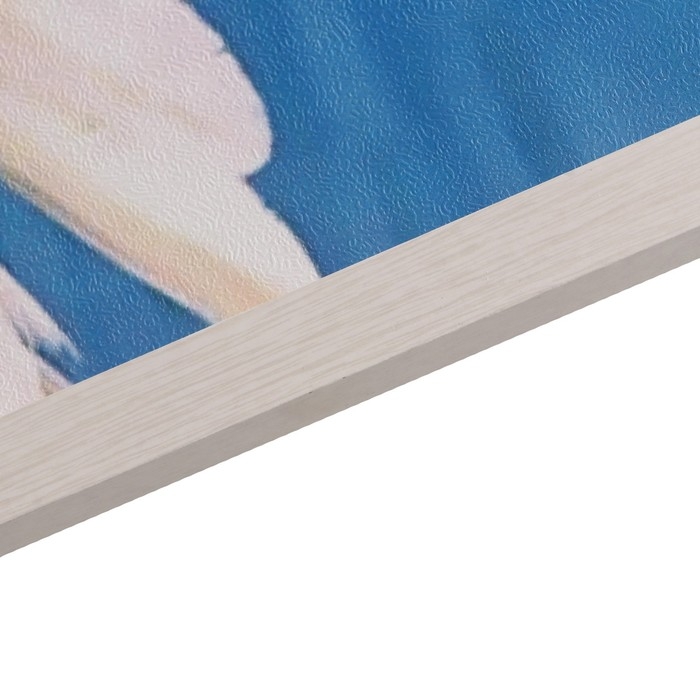 Картина  Картина "Лебеди" 67х107 см рамка МИКС