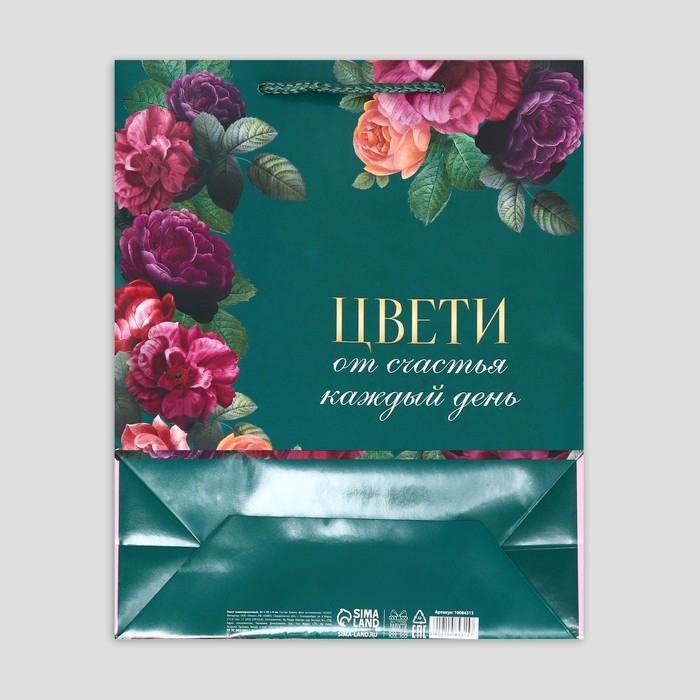 Пакет подарочный ламинированный, упаковка, «Каждый день», M 24 х 29 х 9 см
