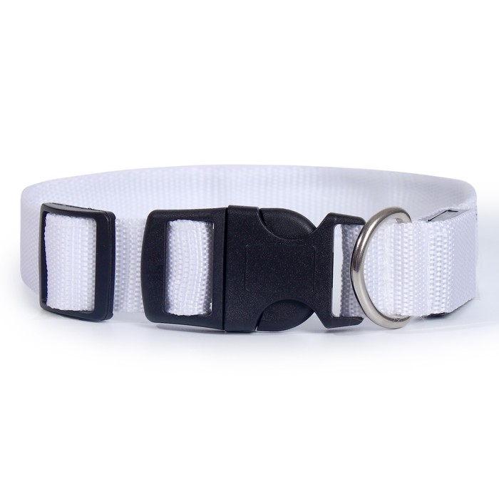 Ошейник с подсветкой Двойная полоса размер XL, ОШ 52-60 х 2,5 см, 3 режима свечения белый Ошейник с подсветкой Двойная полоса размер XL, ОШ 52-60 х 2,5 см, 3 режима свечения белый