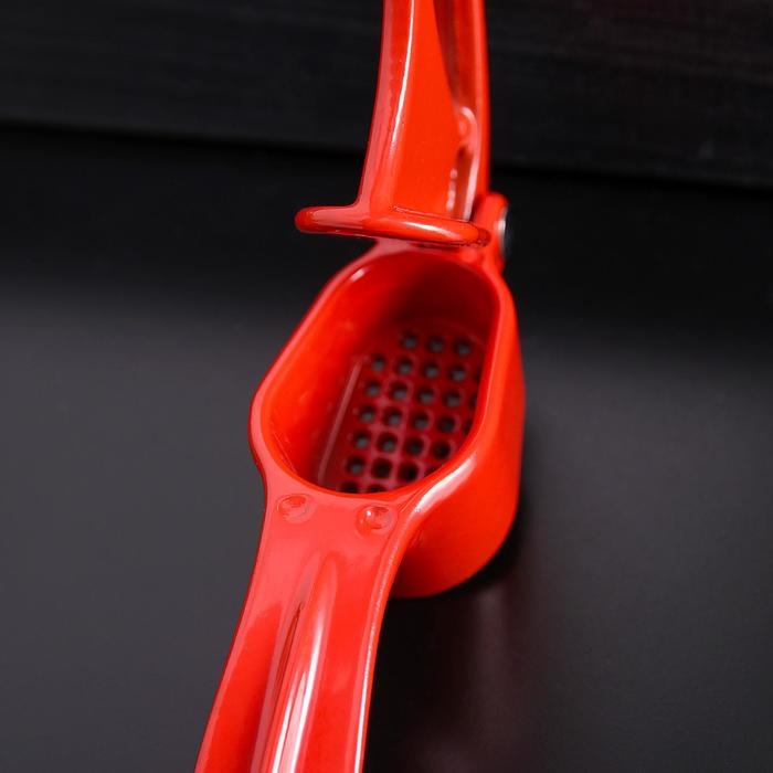 Пресс для чеснока Доляна «Краски», 16 см, цвет МИКС Пресс для чеснока Доляна «Краски», 16 см, цвет МИКС