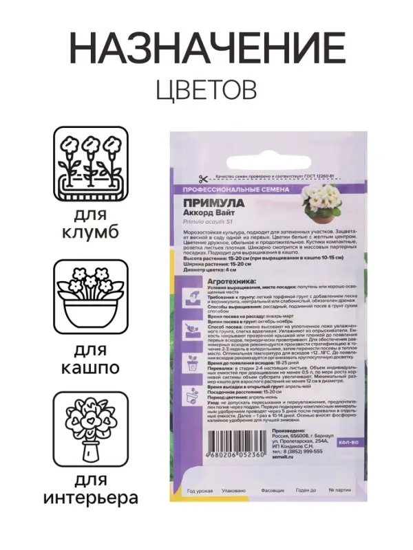 Семена Примула "Аккорд Вайт", ц/п,  5 шт