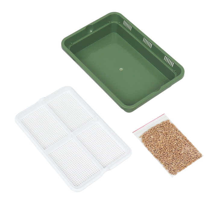 Лоток для проращивания травы кошкам 26,5 х 17,5 х 5 см Лоток для проращивания травы кошкам 26,5 х 17,5 х 5 см