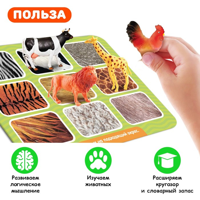 Развивающий набор-сортёр «Изучаем животных», по методике Монтессори, 3+ Развивающий набор-сортёр «Изучаем животных», по методике Монтессори, 3+