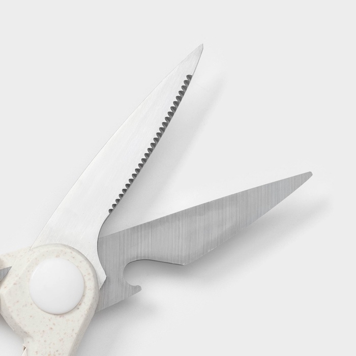 Ножницы кухонные Доляна «Ринго», цвет белый Ножницы кухонные Доляна «Ринго», цвет белый