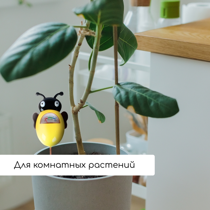 Измеритель влажности почвы «Пчёлка» Измеритель влажности почвы «Пчёлка»