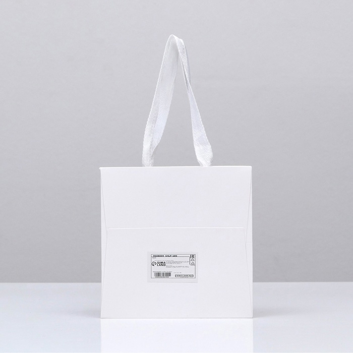 Пакет подарочный, крафт, с окном, «Белый», 15 х 15 х 15 см Пакет подарочный, крафт, с окном, «Белый», 15 х 15 х 15 см