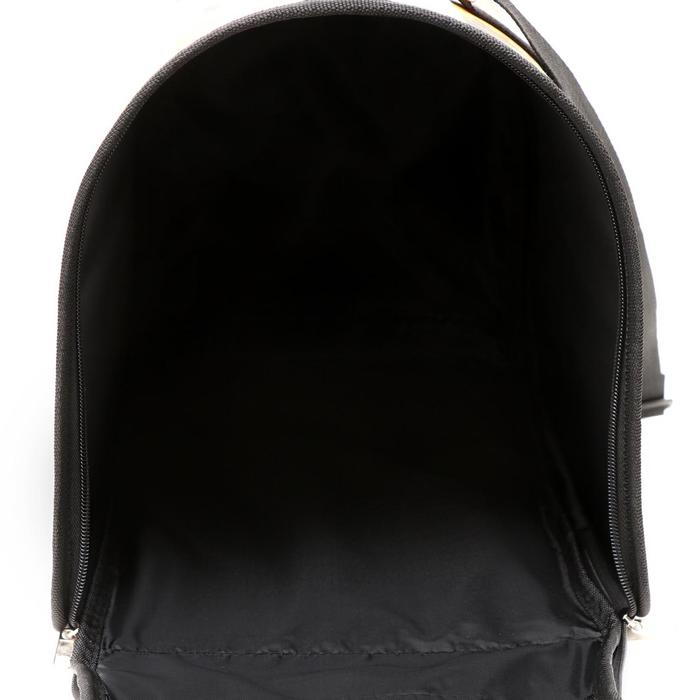 Сумка - переноска для животных с принтом, 40 х 25 х 28 см микс Сумка - переноска для животных с принтом, 40 х 25 х 28 см микс