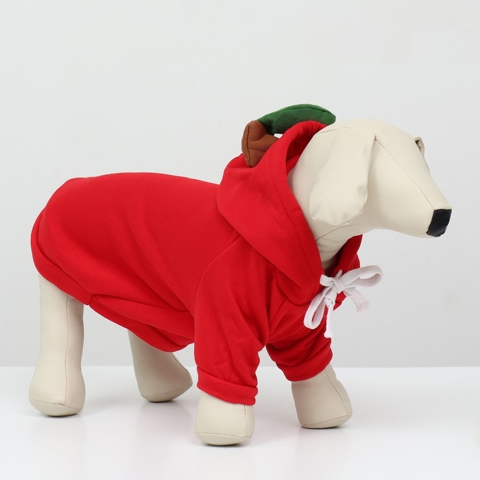 Толстовка "Яблочко", размер M (ДС 30, ОГ 44 см)