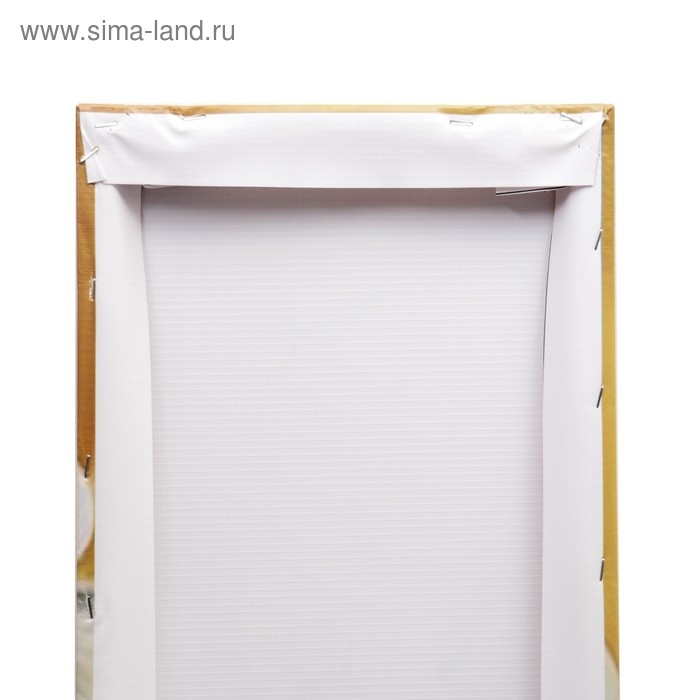 Модульная картина на подрамнике  Модульная картина на подрамнике "Цветы в чаше"  2-25*63; 2-25*71; 1-25*80: 125х80