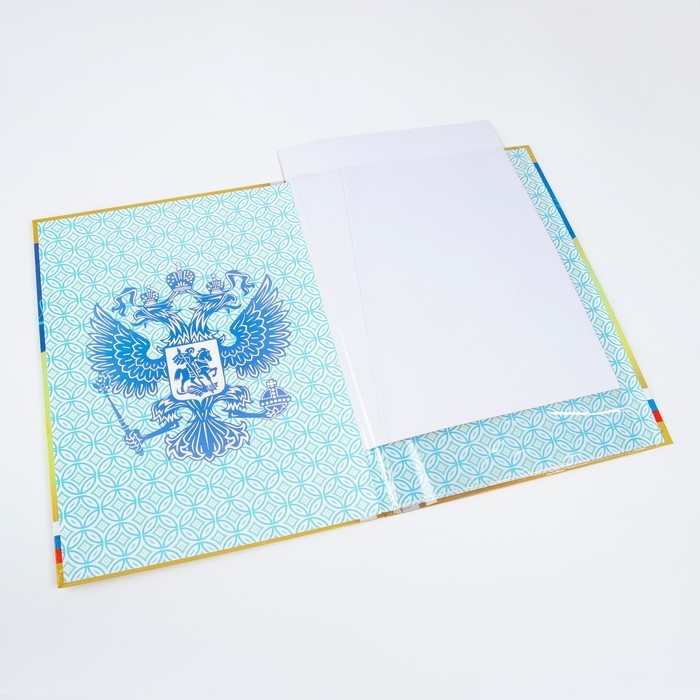 Папка с двумя файлами А4 "Диплом выпускника" герб и триколор на золотом фоне