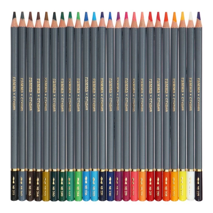 Карандаши акварельные Гамма  Карандаши акварельные Гамма "Студия" 24 цвета, грифель 3.8 мм, картонная коробка, 110822_24