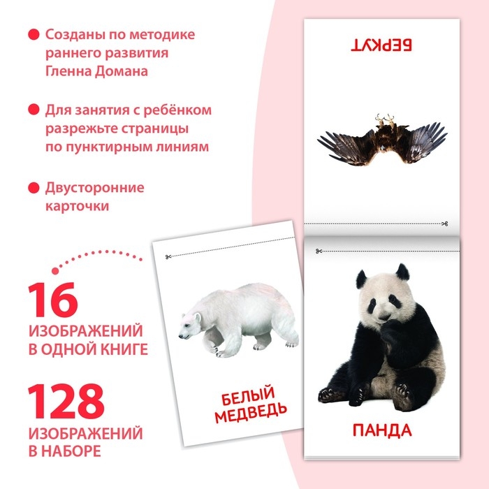 Книги «Карточки Домана. Узнаём мир», набор, 8 шт. по 20 стр. Книги «Карточки Домана. Узнаём мир», набор, 8 шт. по 20 стр.