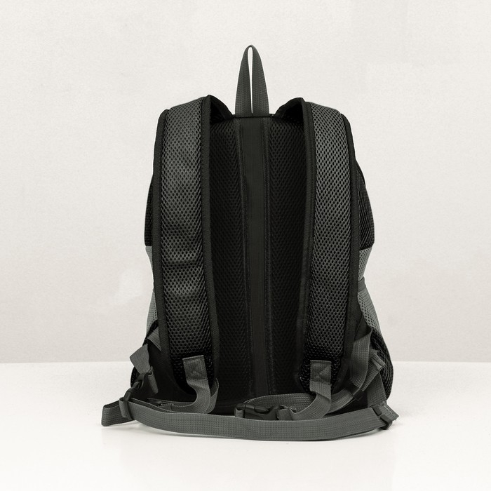 Рюкзак-переноска для кошек и собак, максимальный вес 10 кг, 30 х 16 х 34 см, чёрный Рюкзак-переноска для кошек и собак, максимальный вес 10 кг, 30 х 16 х 34 см, чёрный