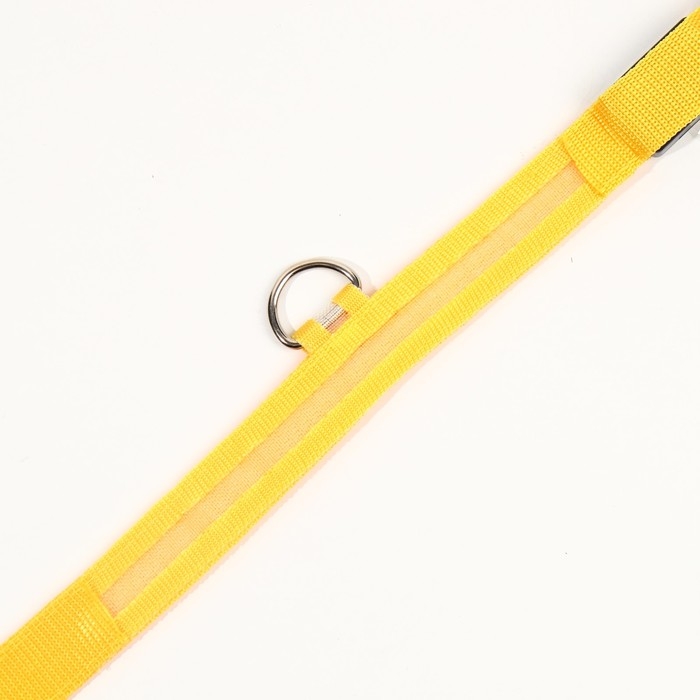 Ошейник с подсветкой размер L, ОШ 45-52 х 2,5 см 3 режима свечения жёлтый Ошейник с подсветкой размер L, ОШ 45-52 х 2,5 см 3 режима свечения жёлтый