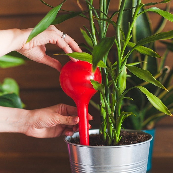 Автополив для комнатных цветов, 380 мл, микс, из пластика, высота 16 см Автополив для комнатных цветов, 380 мл, микс, из пластика, высота 16 см