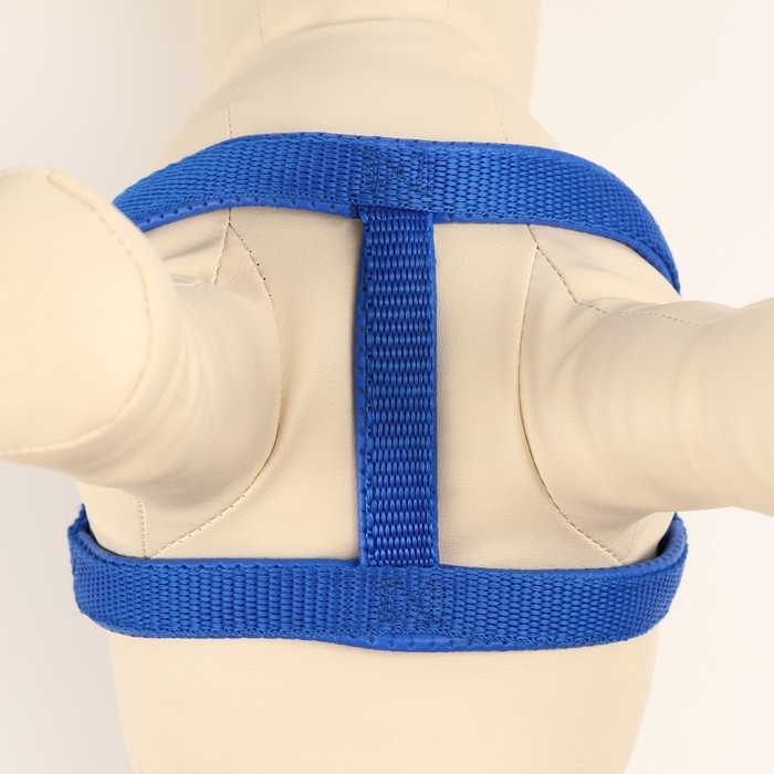 Шлейка Шлейка "Комфорт" комбинированная, 1,5 см, ОШ 36-50 см, ОГ 40-55 см, синяя