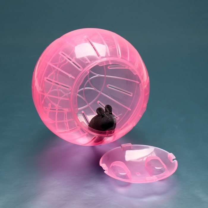 Шар для грызунов Шар для грызунов "Пижон", 14,5 см, розовый
