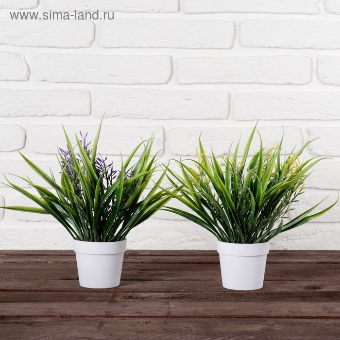 Бонсай в горшочке Бонсай в горшочке "Полевая листва" 9х23 см, микс