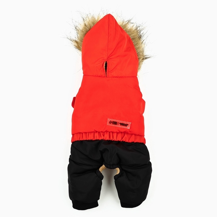 Одежда для собак. Комбинезон зимний «Тёплая зима», красно-чёрный, размер L Одежда для собак. Комбинезон зимний «Тёплая зима», красно-чёрный, размер L