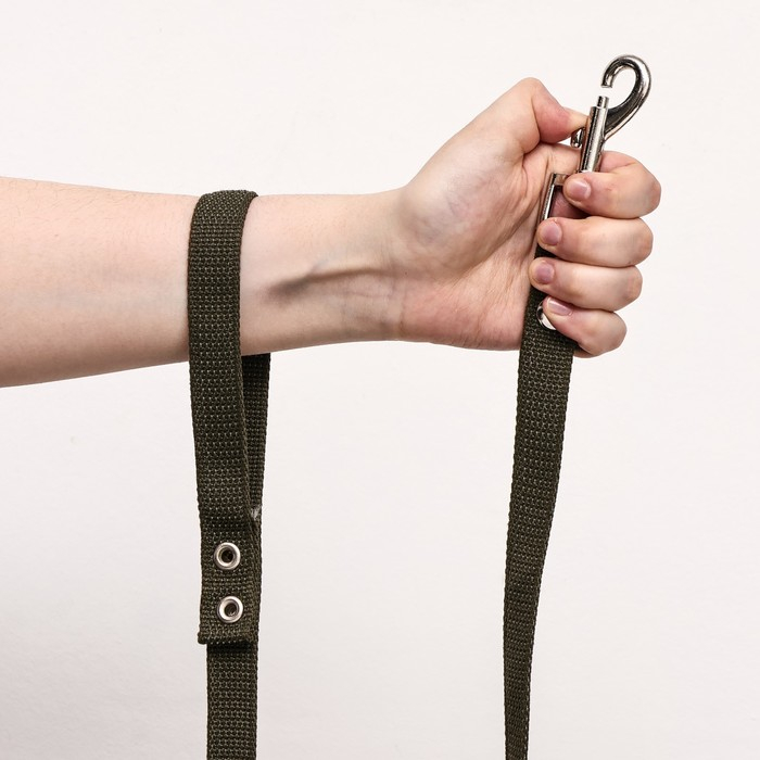 Поводок брезентовый 7 м х 2,5 см, тёмно-зелёный Поводок брезентовый 7 м х 2,5 см, тёмно-зелёный