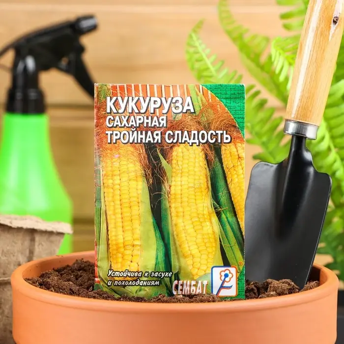 Семена Кукуруза  сахарная  Семена Кукуруза  сахарная "Тройная сладость", 5 г