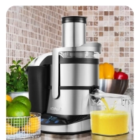 Центробежная соковыжималка электрическая КТ-1112 - 1000 Вт